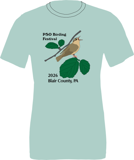 2026 Festival T-shirt