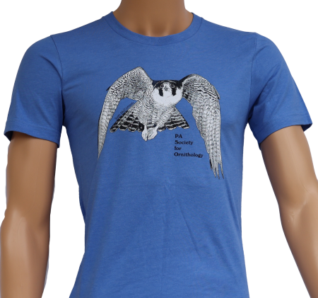 Peregrine Falcon Short-sleeved T-shirt