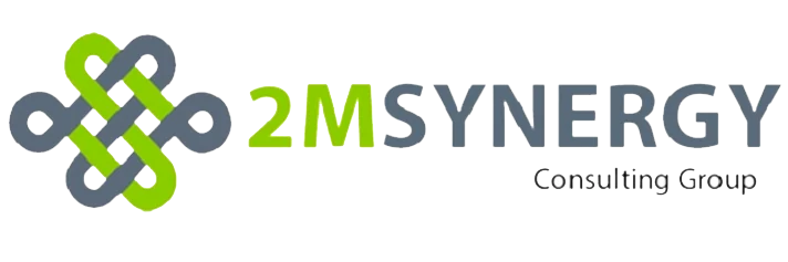 2M Synergy logo